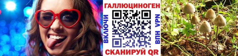 продажа наркотиков  Солигалич  Галлюциногенные грибы Psilocybe 