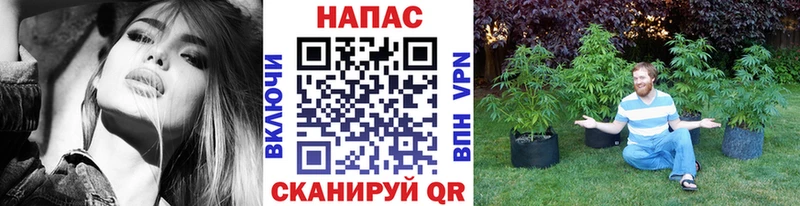 Бошки марихуана LSD WEED  Солигалич 